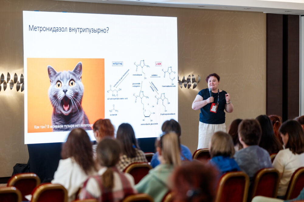 Проведение IХ Черноморской научно-практической ветеринарной конференции в отеле «Имеретинский»